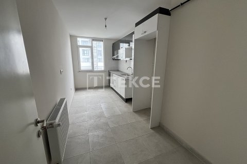 3 bedrooms Apartment in Phu An, Vietnam No. 88498 10