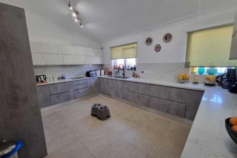 4 chambres Villa à Tala, Cyprus No. 84410 5