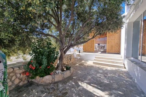 4 chambres Villa à Tala, Cyprus No. 84410 16