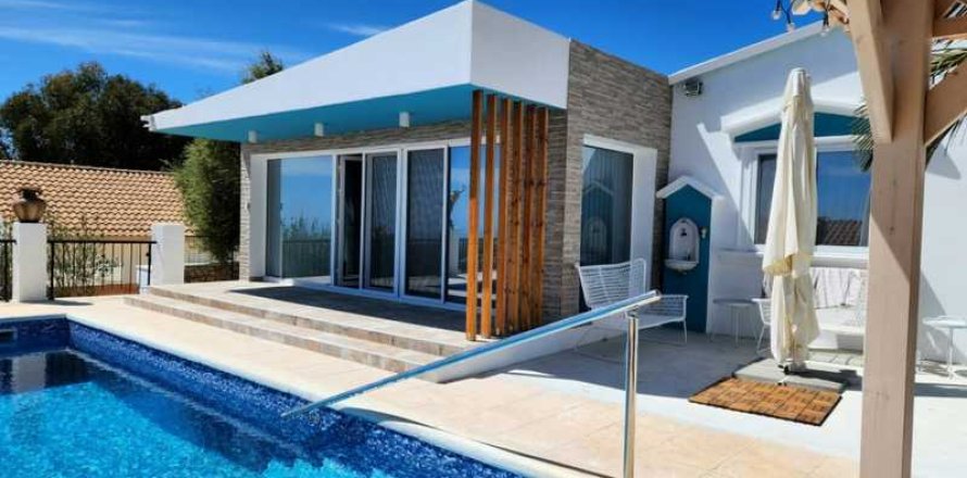 4 chambres Villa à Tala, Cyprus No. 84410