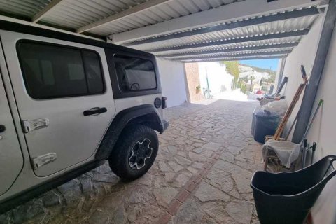 4 chambres Villa à Tala, Cyprus No. 84410 6