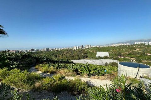 4 rooms Villa in Lien Chieu, Vietnam No. 20987 10