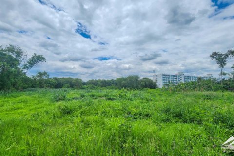 Land in Chiang Mai, Thailand No. 98066 2