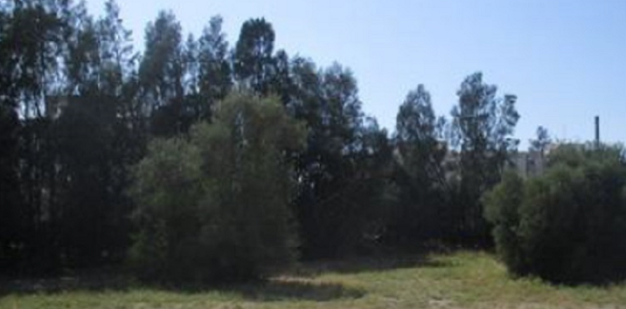 Commercial property in Enkomi, Cyprus No. 41610