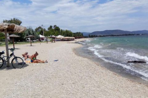 15 chambres Bâtiment à Attica, Greece No. 28109 8