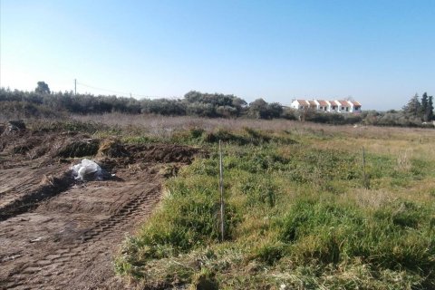 2407m² Land in Chalkidiki, Greece No. 109627 3