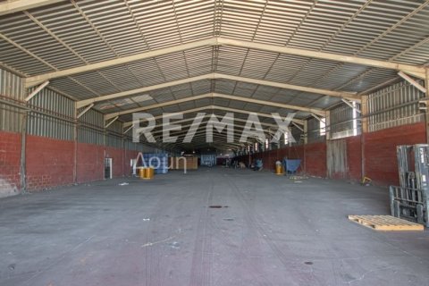 Земельный участок с 10 спальнями в Магнисия, Греция №79982 9