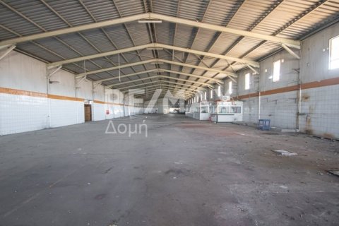 Земельный участок с 10 спальнями в Магнисия, Греция №79982 14