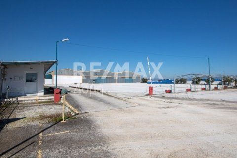 Земельный участок с 10 спальнями в Магнисия, Греция №79982 15