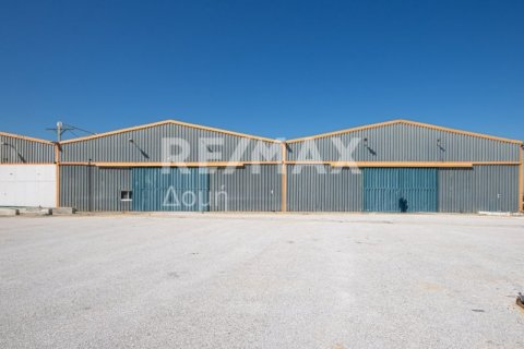 Земельный участок с 10 спальнями в Магнисия, Греция №79982 5