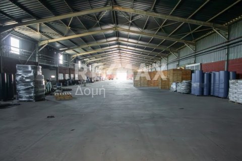 Земельный участок с 10 спальнями в Магнисия, Греция №79982 12