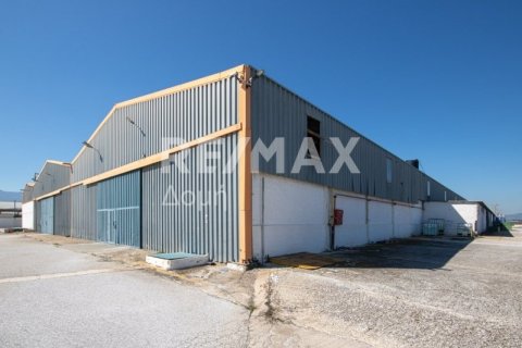 Земельный участок с 10 спальнями в Магнисия, Греция №79982 3