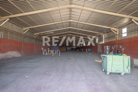 Земельный участок с 10 спальнями в Магнисия, Греция №79982 8