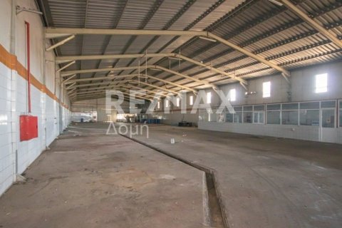 Земельный участок с 10 спальнями в Магнисия, Греция №79982 13