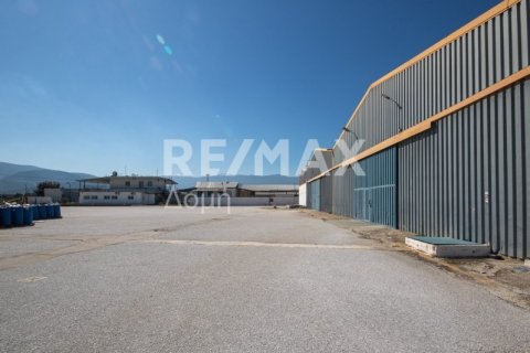 Земельный участок с 10 спальнями в Магнисия, Греция №79982 6