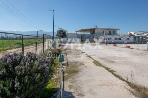 Земельный участок с 10 спальнями в Магнисия, Греция №79982 18