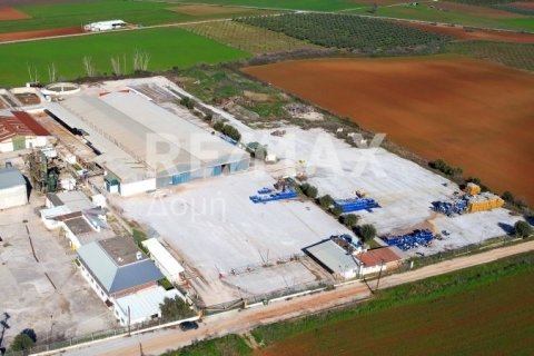 Земельный участок с 10 спальнями в Магнисия, Греция №79982 2