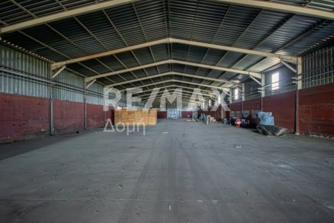 Земельный участок с 10 спальнями в Магнисия, Греция №79982 10