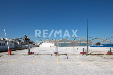 Земельный участок с 10 спальнями в Магнисия, Греция №79982 17