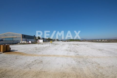 Земельный участок с 10 спальнями в Магнисия, Греция №79982 25