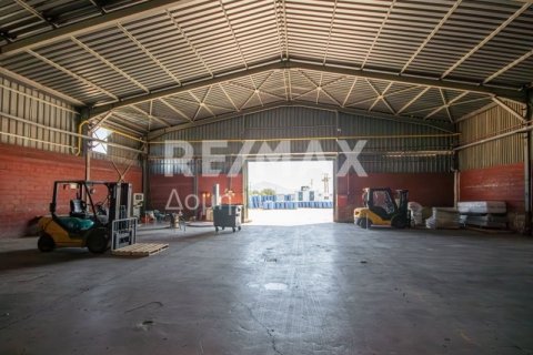 Земельный участок с 10 спальнями в Магнисия, Греция №79982 11