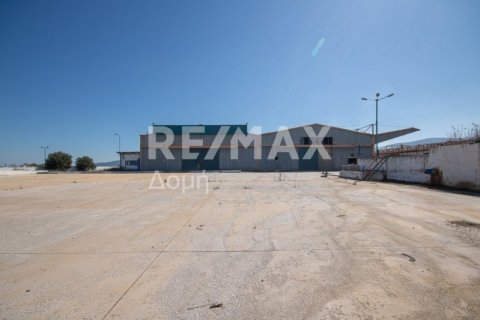 Земельный участок с 10 спальнями в Магнисия, Греция №79982 22