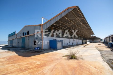 Земельный участок с 10 спальнями в Магнисия, Греция №79982 1