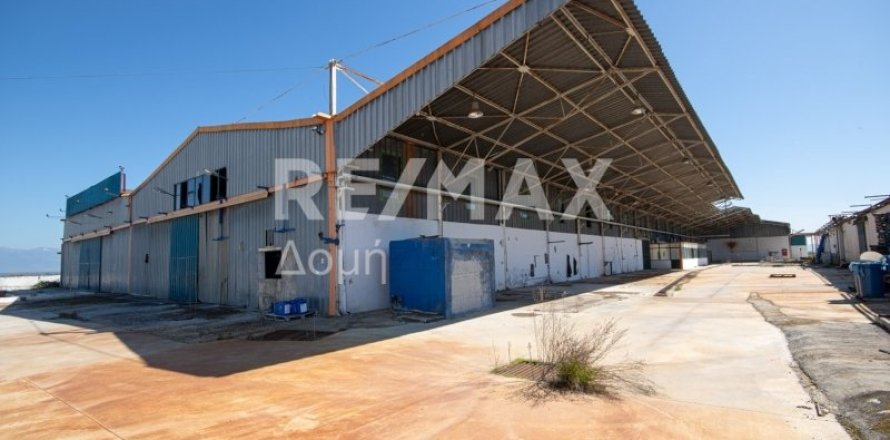 Земельный участок с 10 спальнями в Магнисия, Греция №79982