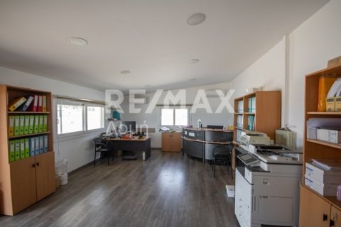 Земельный участок с 10 спальнями в Магнисия, Греция №79982 20