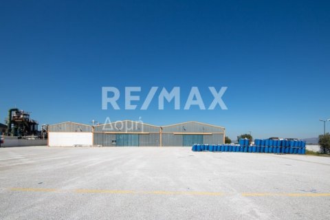 Земельный участок с 10 спальнями в Магнисия, Греция №79982 23