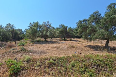 2776m² Land in Corfu, Greece No. 54332 11