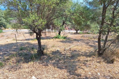 2776m² Land in Corfu, Greece No. 54332 6
