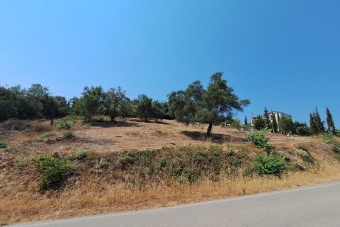 2776m² Land in Corfu, Greece No. 54332 15