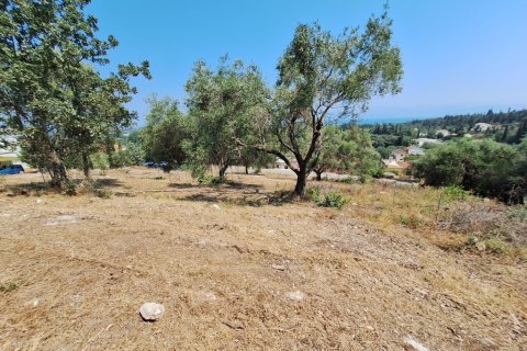 2776m² Land in Corfu, Greece No. 54332 8