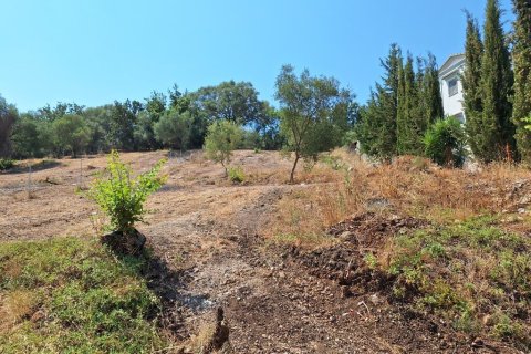 2776m² Land in Corfu, Greece No. 54332 10
