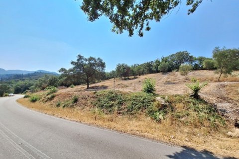 2776m² Land in Corfu, Greece No. 54332 16