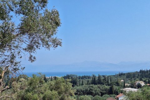 2776m² Land in Corfu, Greece No. 54332 1