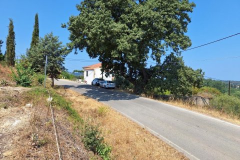 2776m² Land in Corfu, Greece No. 54332 12