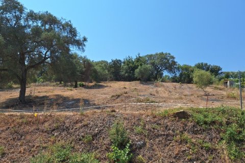 2776m² Land in Corfu, Greece No. 54332 9