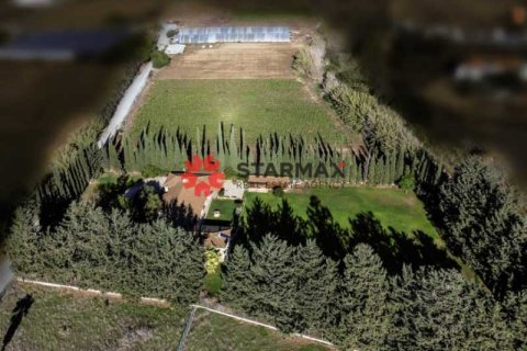 3 chambres House à Softades, Cyprus No. 82438 3