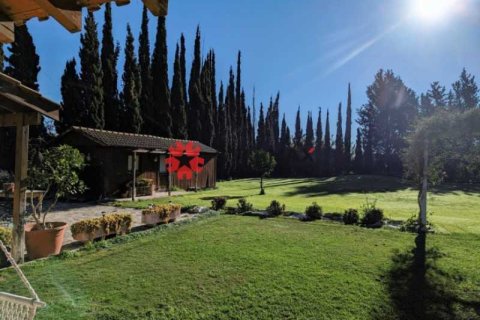 3 chambres House à Softades, Cyprus No. 82438 4