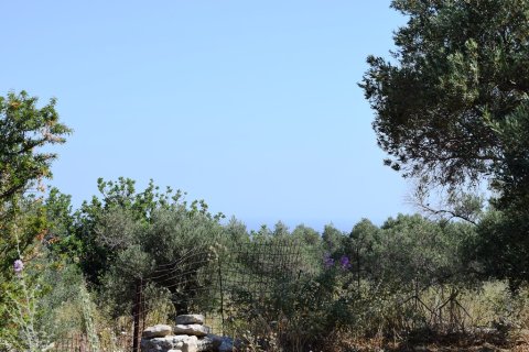 4000m² Land in Rethymno, Greece No. 109578 14
