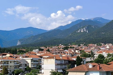 2 bedrooms House in Litochoro, Greece No. 107663 30