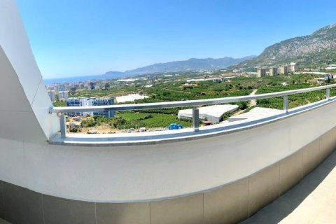 4 rooms Apartment in Bo Ha, Vietnam No. 22181 16