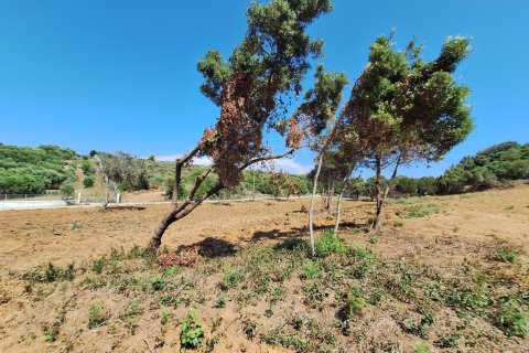 Land in Corfu, Greece No. 107616 23