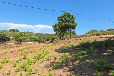 Land in Corfu, Greece No. 107616 20