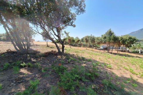 Land in Corfu, Greece No. 107616 18
