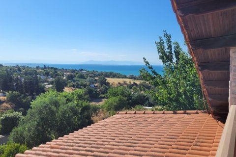 Вилла с 5 спальнями в Термаикос, Греция №107406 12