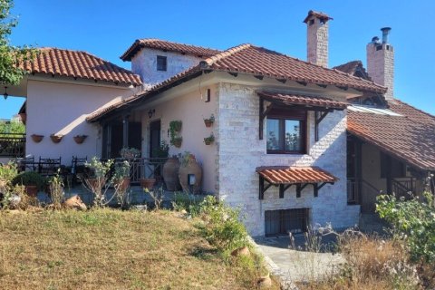 Вилла с 5 спальнями в Термаикос, Греция №107406 19