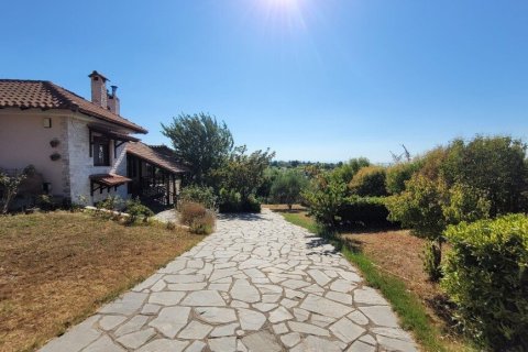 Вилла с 5 спальнями в Термаикос, Греция №107406 21